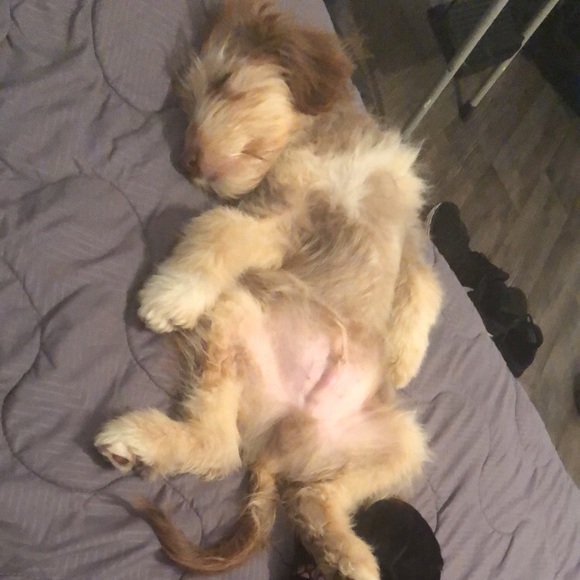 Meet your Posher, Matt - Picture 1 of 1